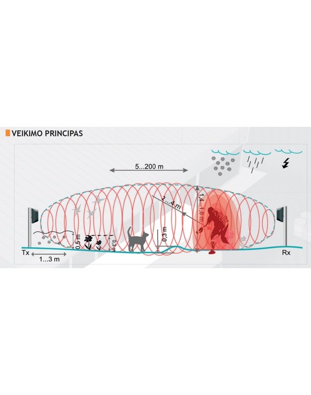 FORTEZA FMC10 (50m)